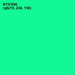 #13F896 - Caribbean Green Color Image