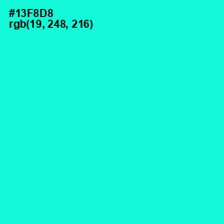 #13F8D8 - Bright Turquoise Color Image