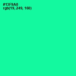 #13F9A0 - Caribbean Green Color Image