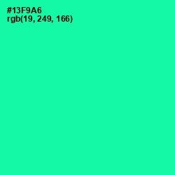 #13F9A6 - Caribbean Green Color Image