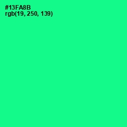 #13FA8B - Caribbean Green Color Image