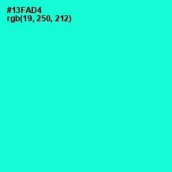 #13FAD4 - Bright Turquoise Color Image
