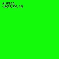 #13FB0A - Green Color Image