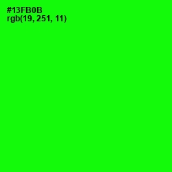 #13FB0B - Green Color Image