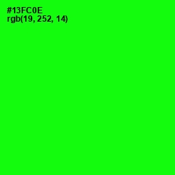 #13FC0E - Green Color Image