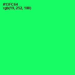 #13FC64 - Spring Green Color Image