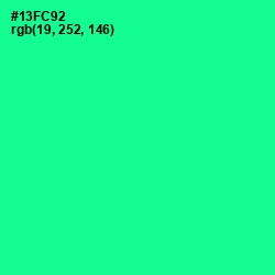 #13FC92 - Caribbean Green Color Image