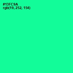 #13FC9A - Caribbean Green Color Image