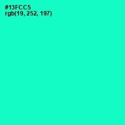 #13FCC5 - Bright Turquoise Color Image