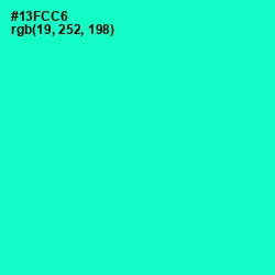 #13FCC6 - Bright Turquoise Color Image