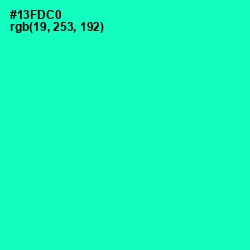 #13FDC0 - Bright Turquoise Color Image