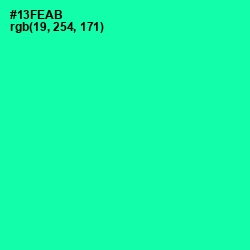 #13FEAB - Caribbean Green Color Image