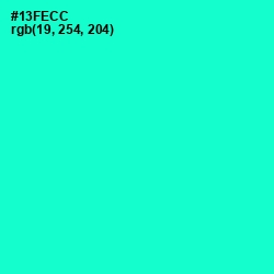 #13FECC - Bright Turquoise Color Image