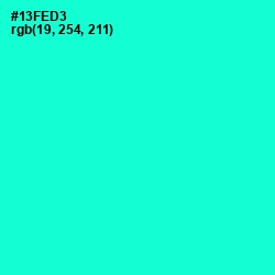 #13FED3 - Bright Turquoise Color Image