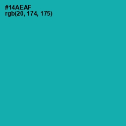 #14AEAF - Eastern Blue Color Image