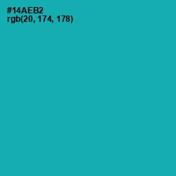#14AEB2 - Eastern Blue Color Image