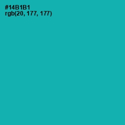 #14B1B1 - Eastern Blue Color Image