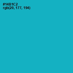 #14B1C2 - Cerulean Color Image
