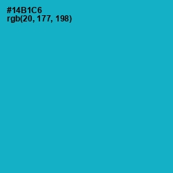 #14B1C6 - Cerulean Color Image