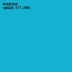 #14B1D0 - Cerulean Color Image