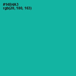 #14B4A3 - Persian Green Color Image