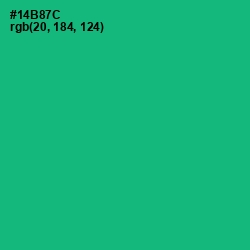 #14B87C - Jade Color Image