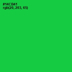 #14CB41 - Malachite Color Image