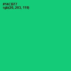 #14CB77 - Malachite Color Image