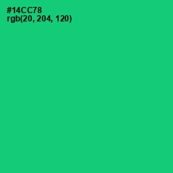 #14CC78 - Malachite Color Image
