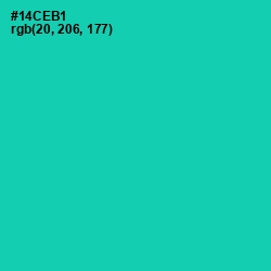 #14CEB1 - Caribbean Green Color Image