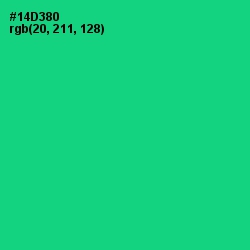 #14D380 - Caribbean Green Color Image
