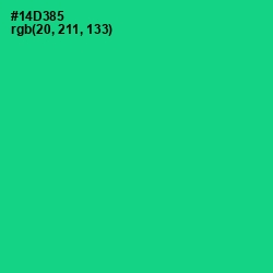 #14D385 - Caribbean Green Color Image