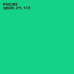 #14D389 - Caribbean Green Color Image