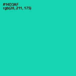 #14D3AF - Caribbean Green Color Image