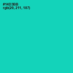 #14D3BB - Caribbean Green Color Image