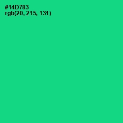 #14D783 - Caribbean Green Color Image