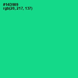 #14D989 - Caribbean Green Color Image