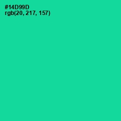 #14D99D - Caribbean Green Color Image