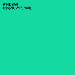 #14D9A0 - Caribbean Green Color Image