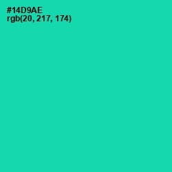 #14D9AE - Caribbean Green Color Image