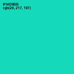 #14D9BB - Caribbean Green Color Image