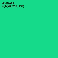 #14DA89 - Caribbean Green Color Image