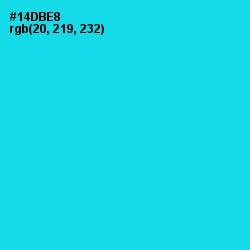 #14DBE8 - Bright Turquoise Color Image
