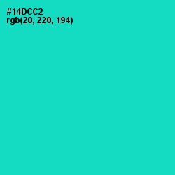 #14DCC2 - Robin's Egg Blue Color Image