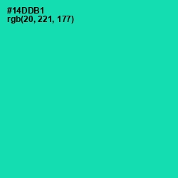 #14DDB1 - Caribbean Green Color Image