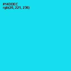 #14DDEC - Bright Turquoise Color Image