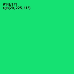 #14E171 - Spring Green Color Image