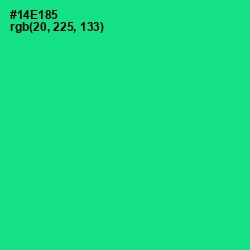 #14E185 - Caribbean Green Color Image