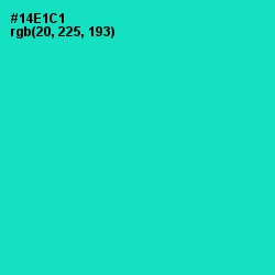 #14E1C1 - Bright Turquoise Color Image