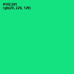 #14E281 - Caribbean Green Color Image